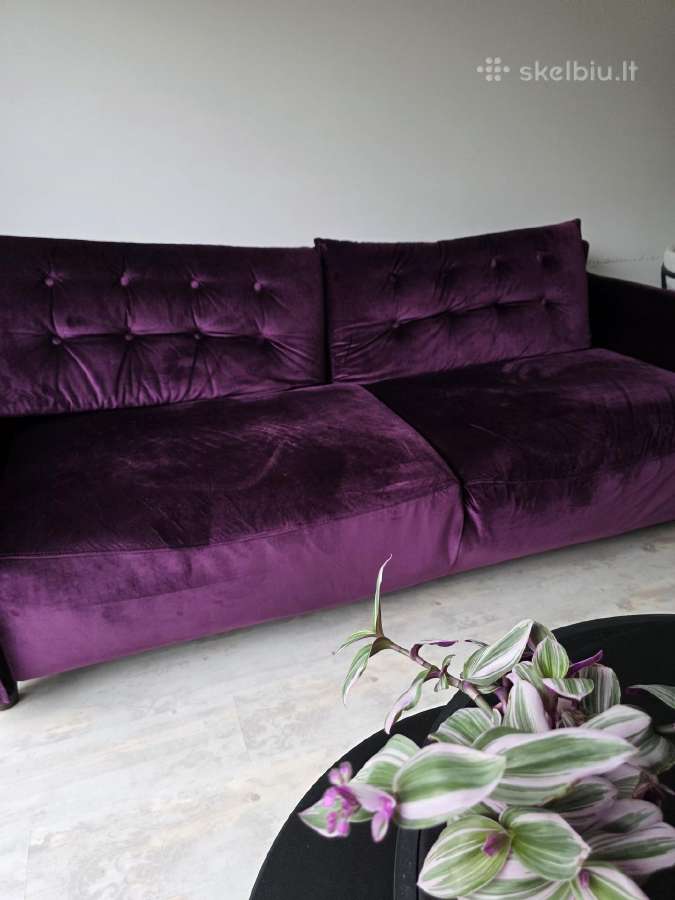 Magres Baldai sofa - lova - nuotraukos Nr. 6