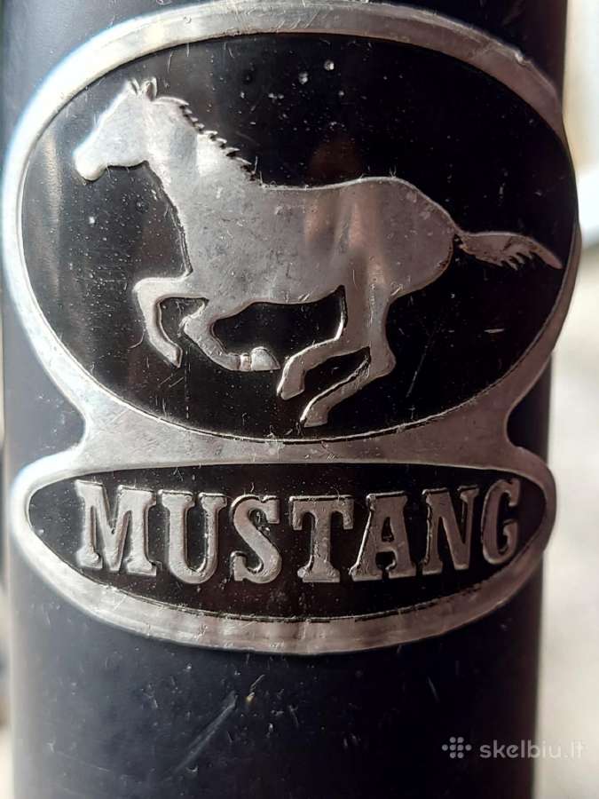 Mustang Swing - nuotraukos Nr. 4