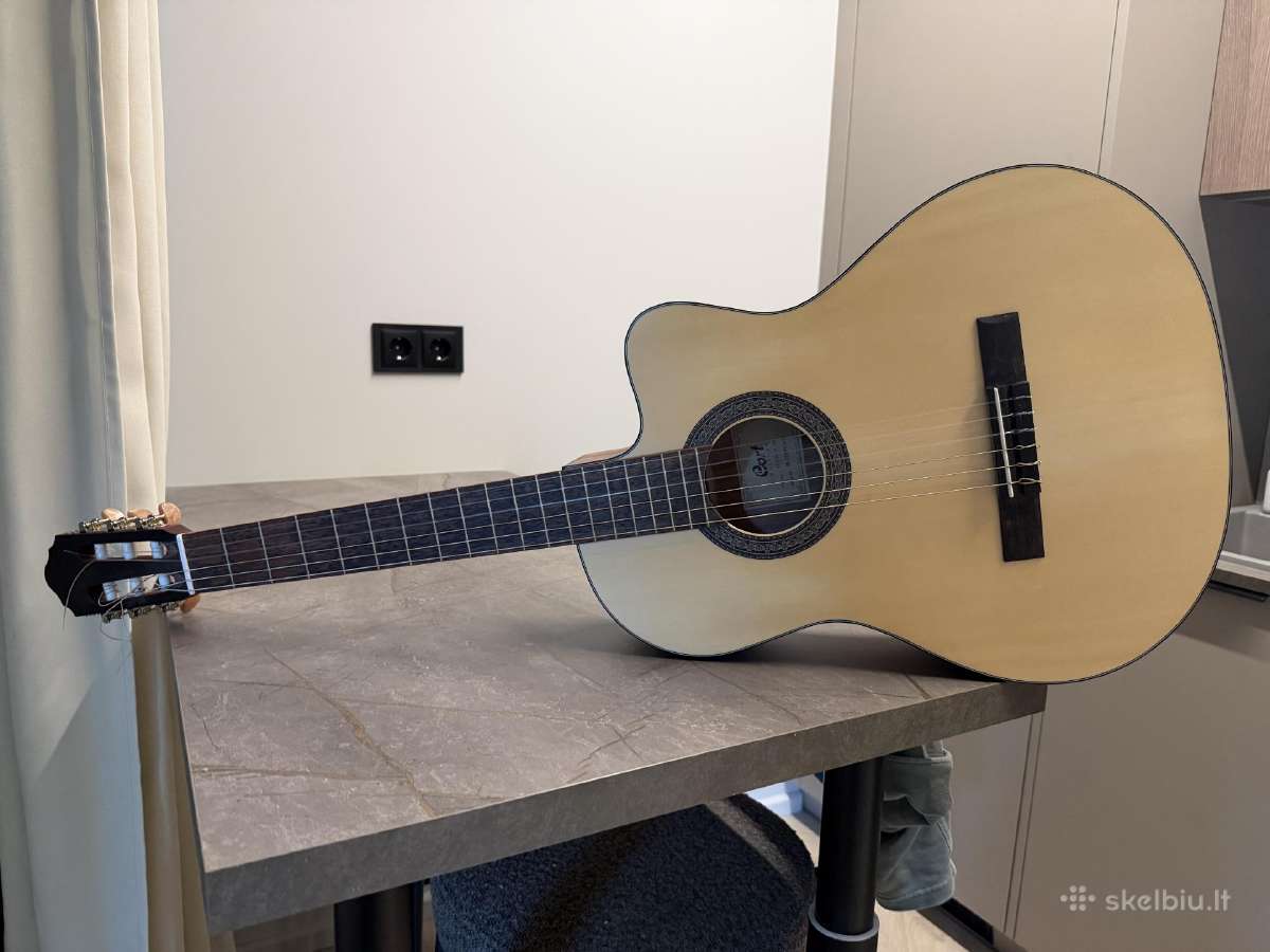Nauja Gitara - nuotraukos Nr. 3