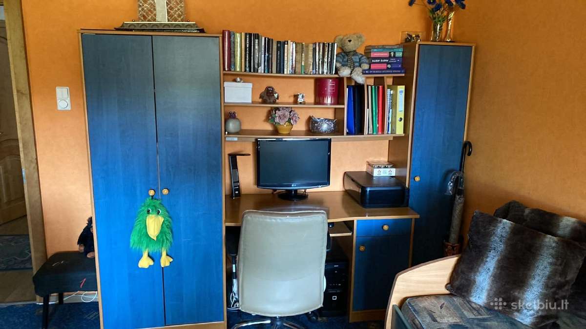 Jaunuolio kambario baldai