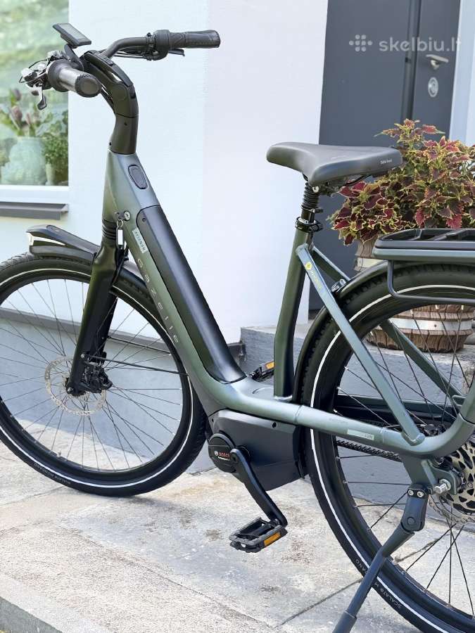 Gazelle avigon