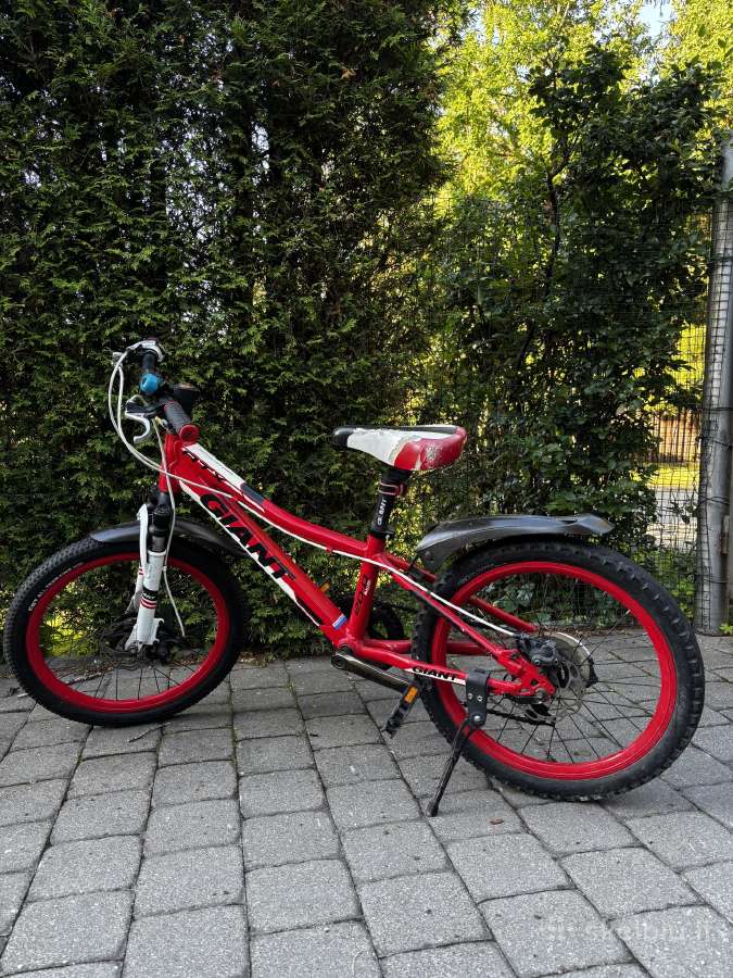Giant vaikišas dviratis 20 ratai