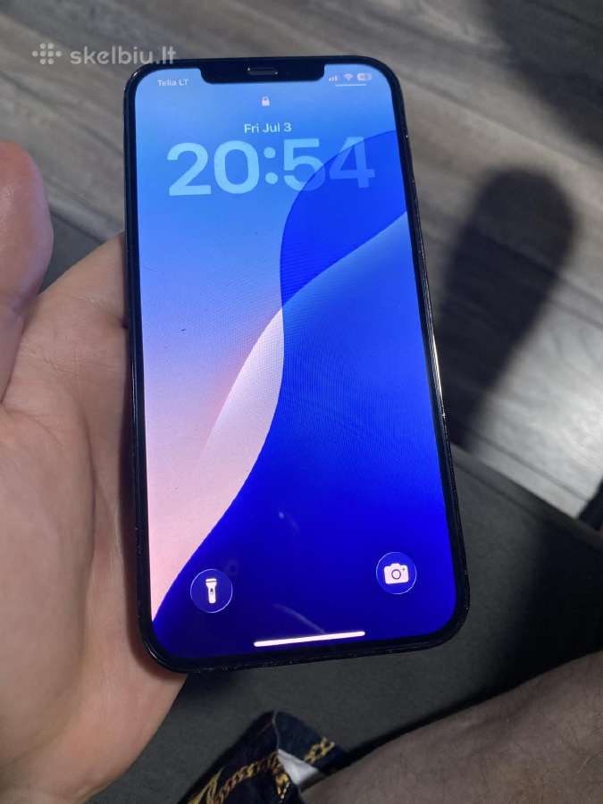 Apple iPhone 12 Pro Max 256 GB telefonas