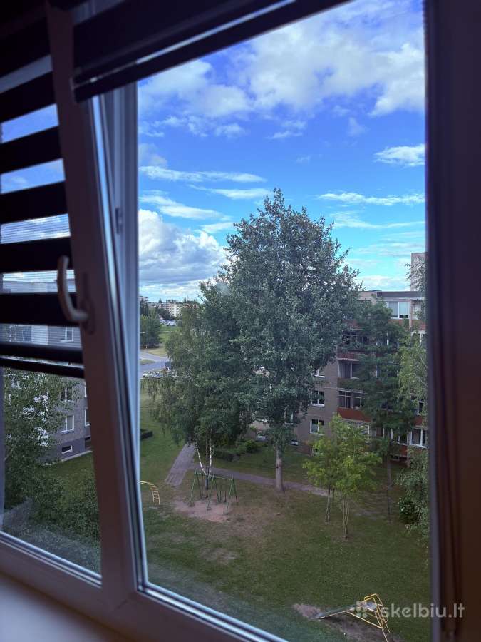Buto nuoma, Kniaudiškių g., Panevežys