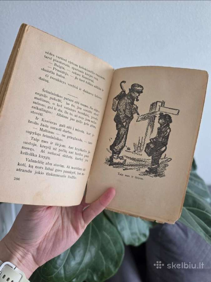 Liudas Dovydėnas ,Kelionė į pievas" 1936 m. - nuotraukos Nr. 7