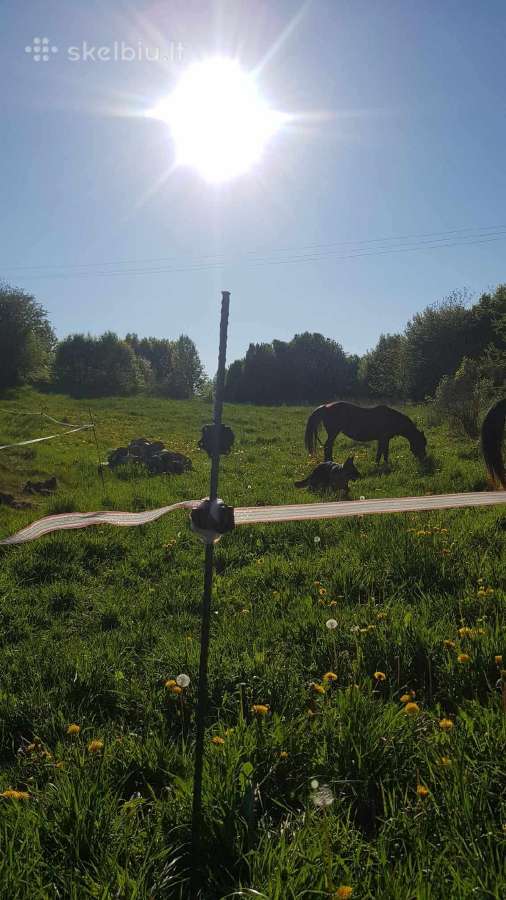 Ilgaamžiai kuolai elektriniams aptvarams, galvijam - nuotraukos Nr. 2