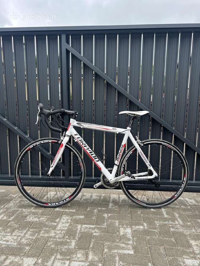 Torpado T1000 54 cm Shimano Sora