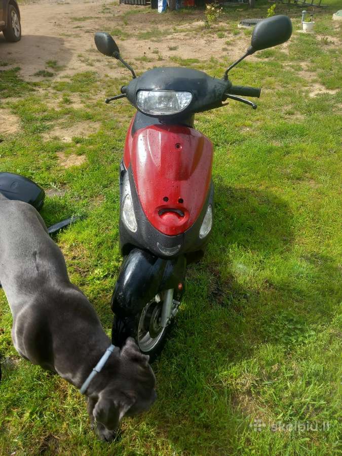 49cc 4t