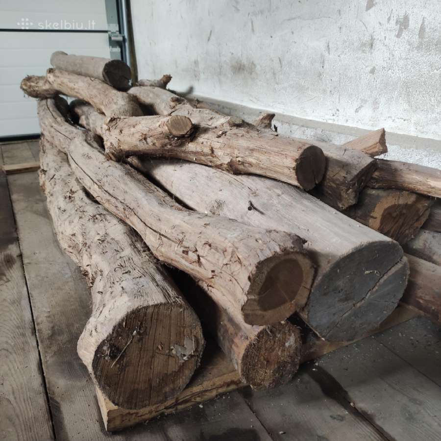 Ąžuoliniai rasteliai, sausi, nužievinti