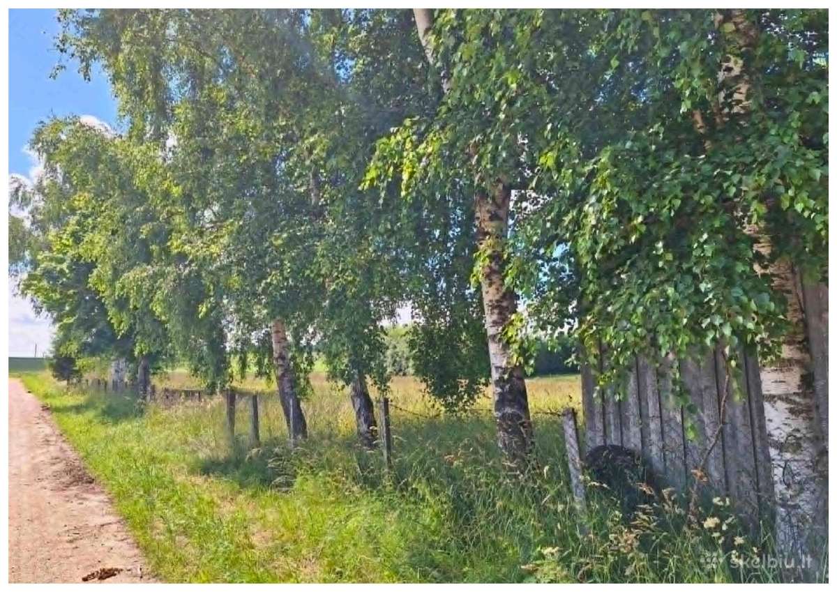 Parduodamas namas Gintalų km., Telšių r. - nuotraukos Nr. 13