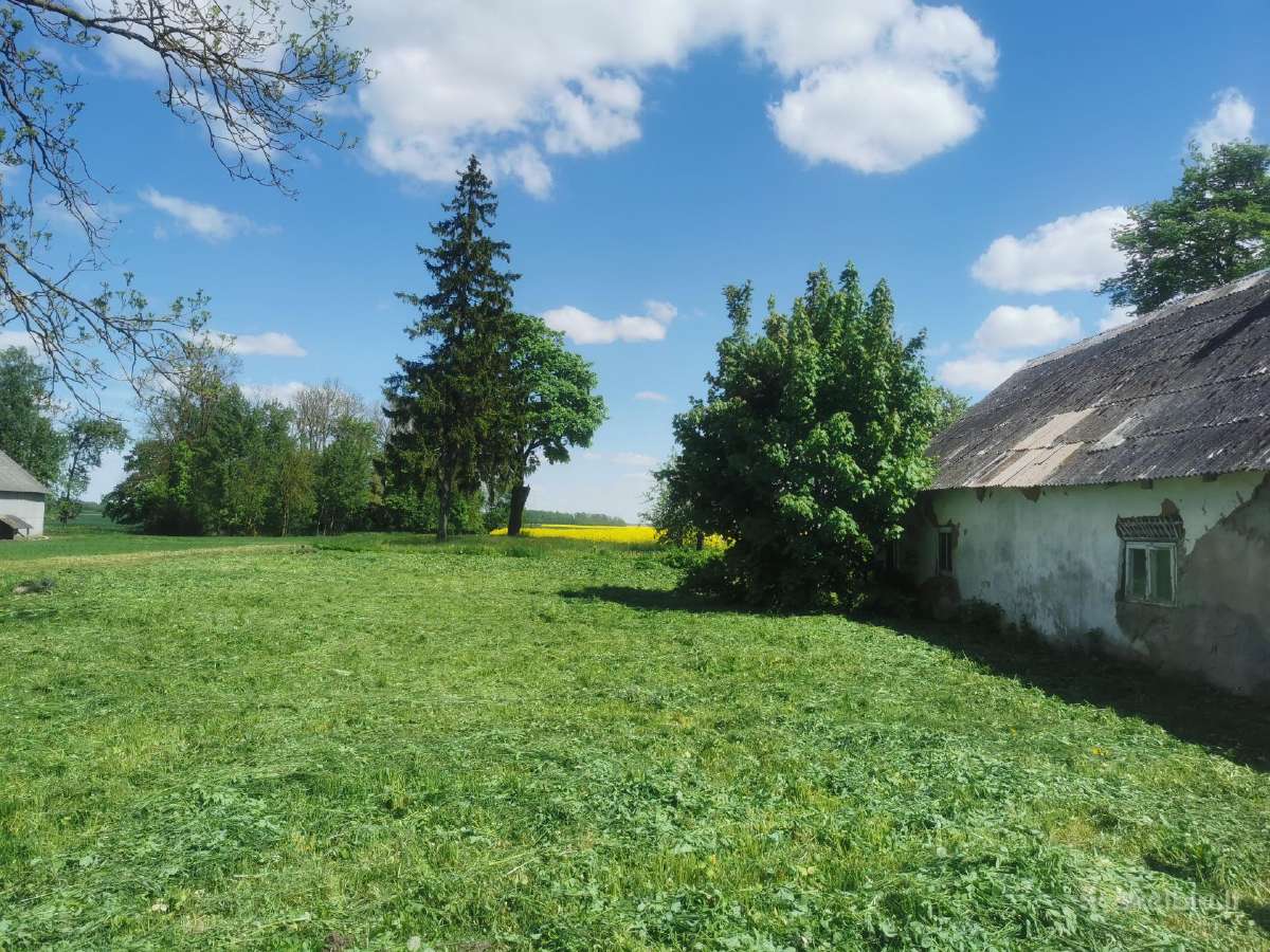 Parduodu sodyba Medginuose - nuotraukos Nr. 6