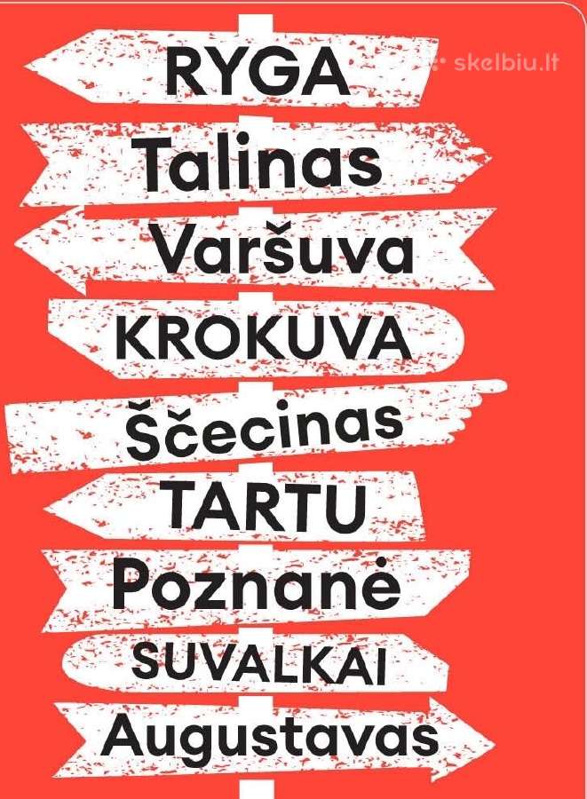 Vairuotojas su mikroautobusu