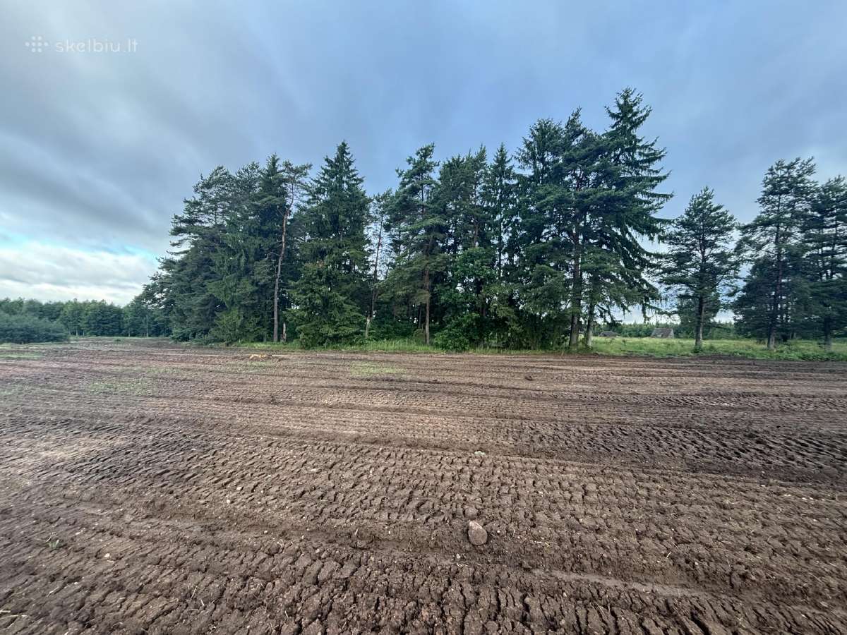 Parduodamas 31 ha.žemės sklypas -Tik- 3000 eur/ha - nuotraukos Nr. 3