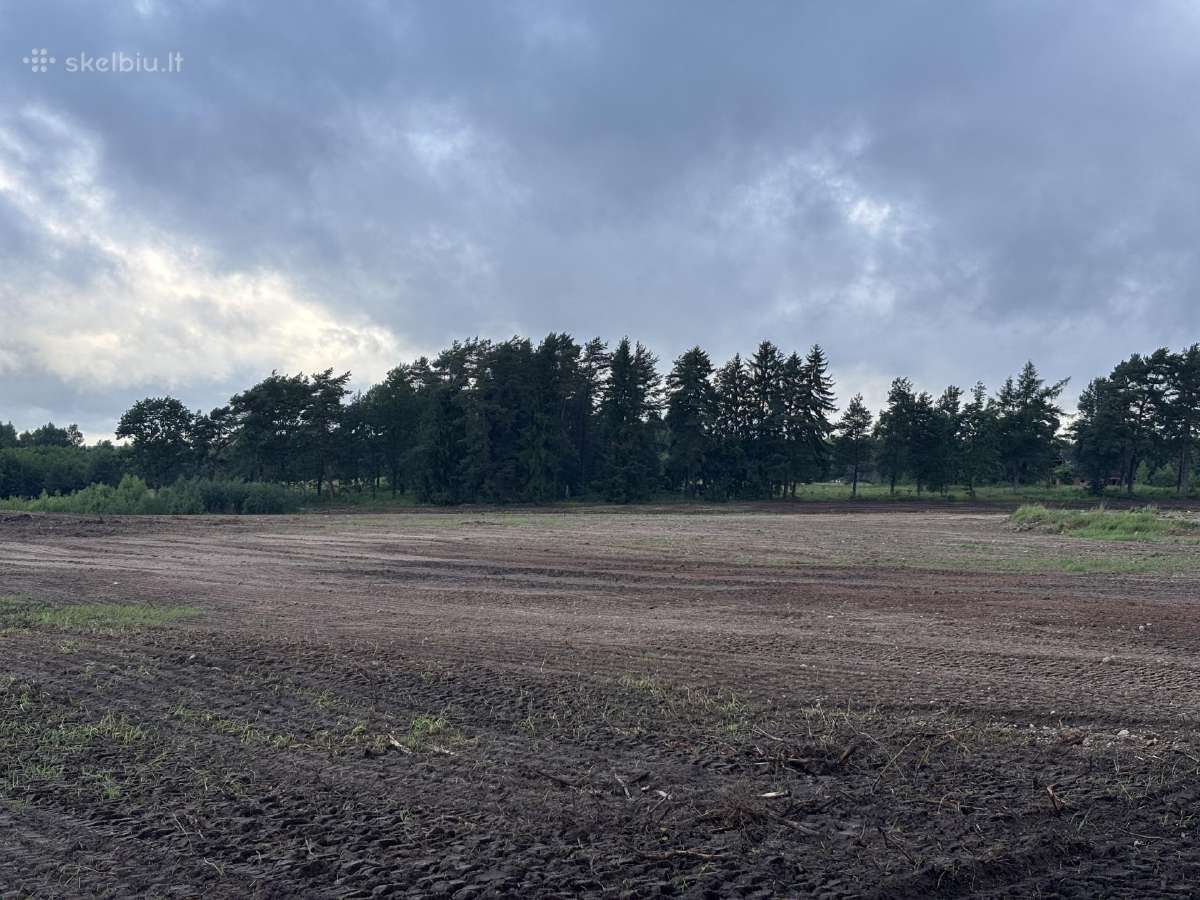 Parduodamas 31 ha.žemės sklypas -Tik- 3000 eur/ha - nuotraukos Nr. 6