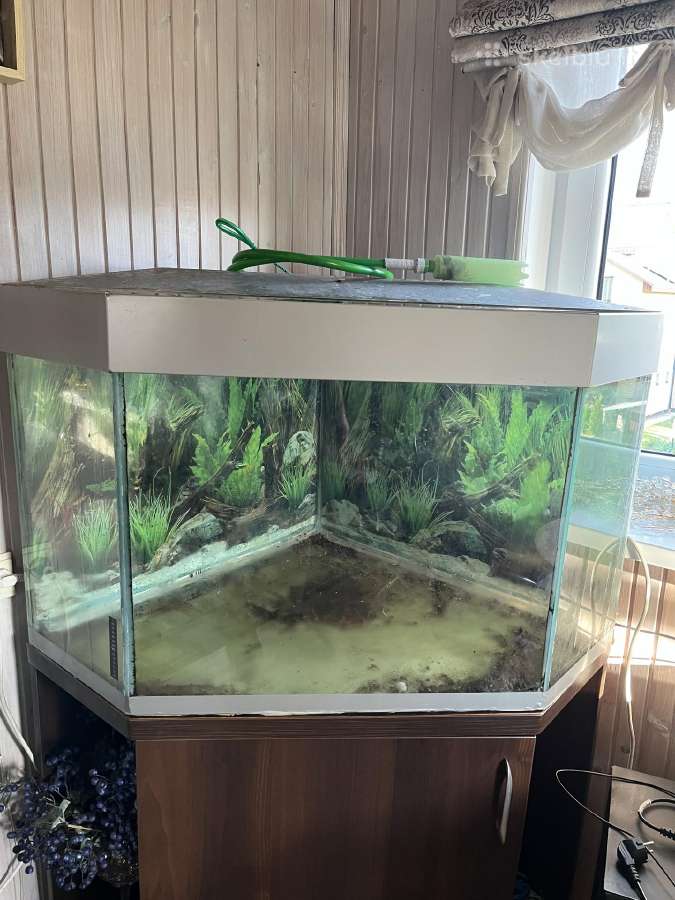 Akvariumas