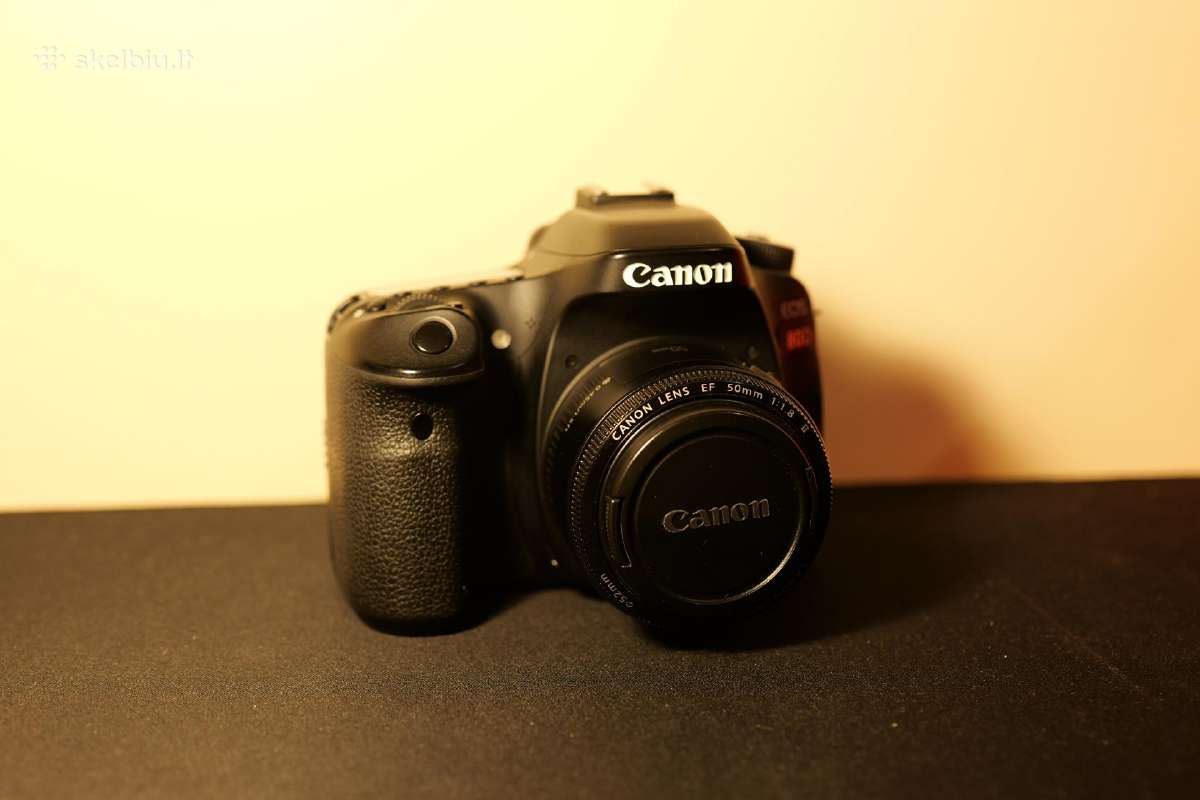 Canon 80d + canon 50mm f 1.8