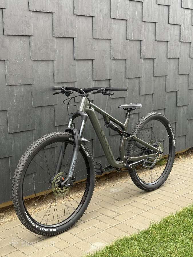 Canyon neuron 5