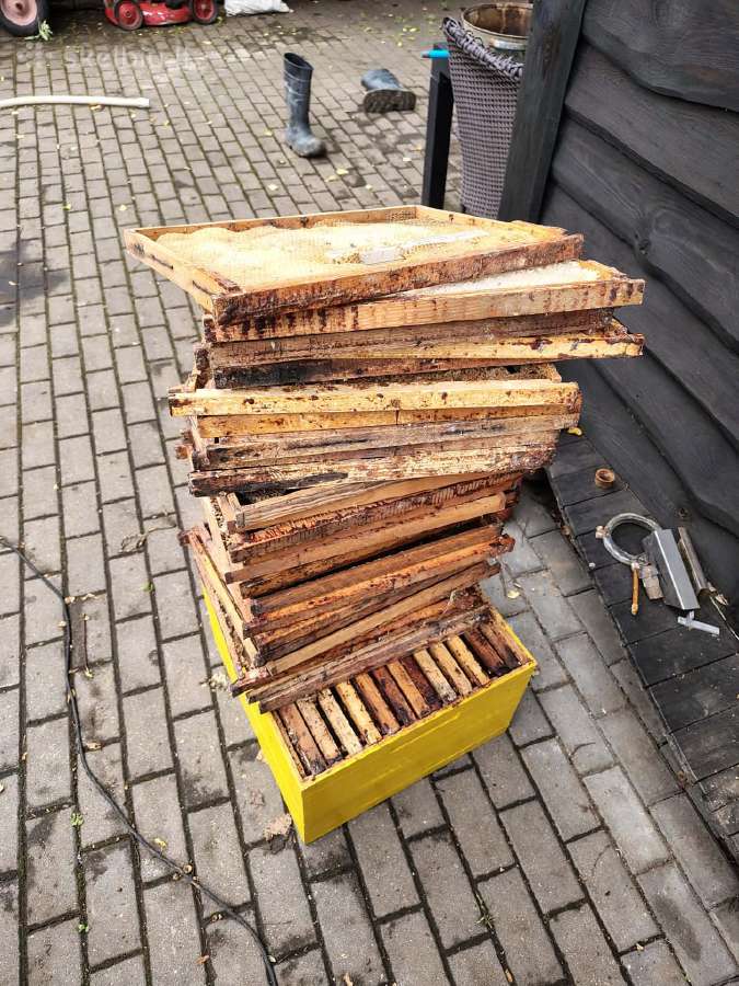 Remeliai aviliu 300 dadant