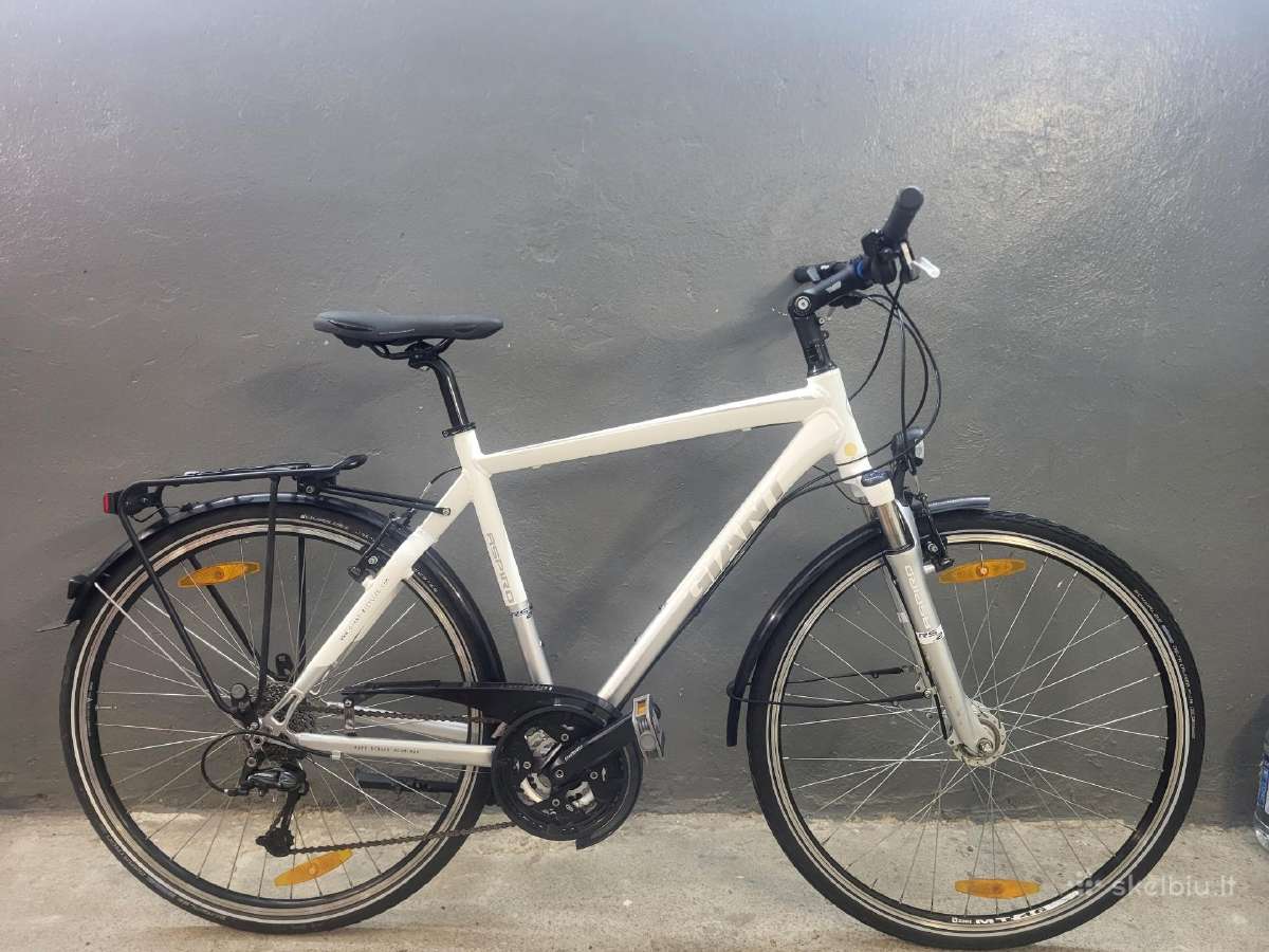 Dviratis Giant L dydis