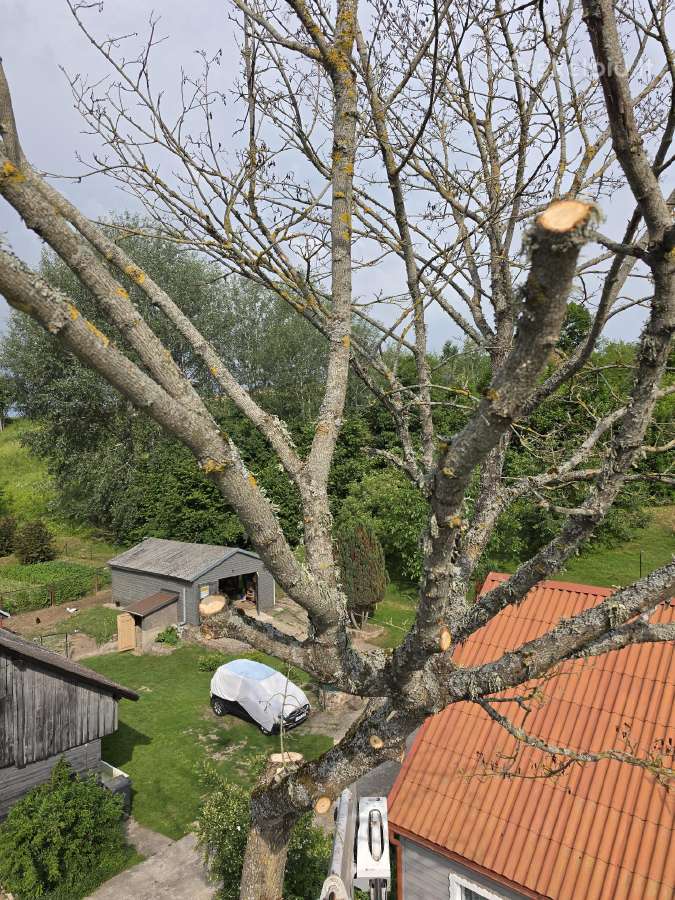 Auto bokštelio/keltuvo nuoma Tauragė Šiauliai - nuotraukos Nr. 2