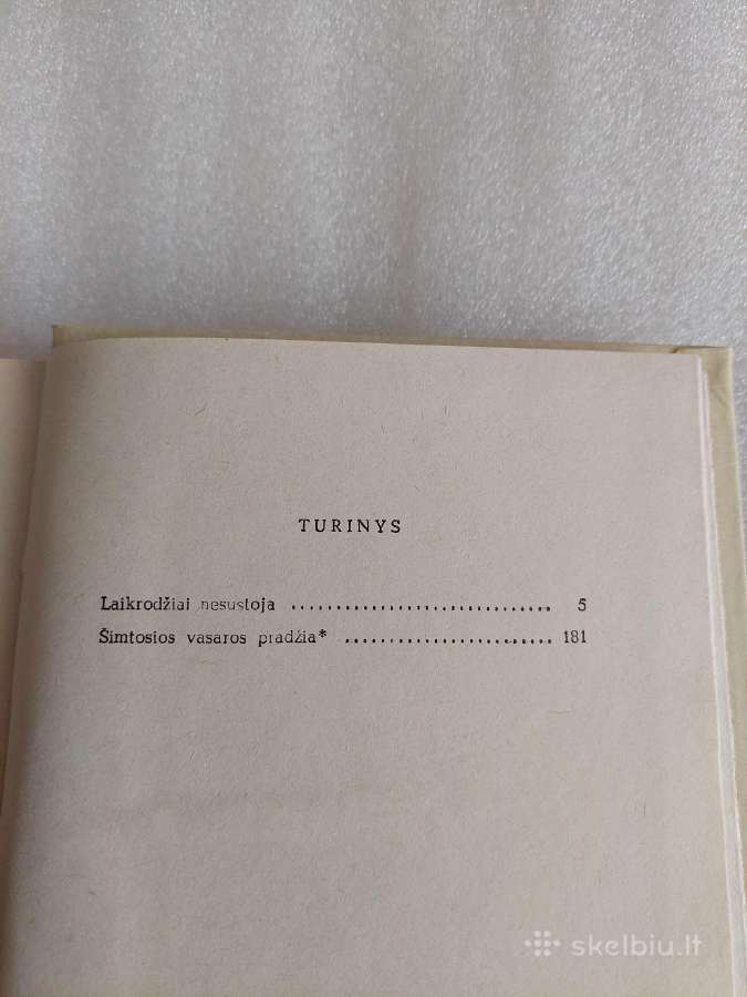 Šimtosios vasaros pradžia - nuotraukos Nr. 3