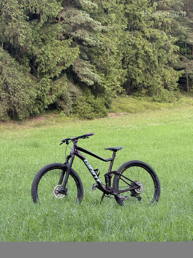 Giant Stance 1 2022