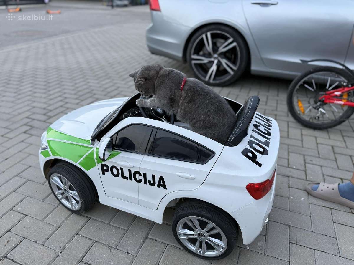 Vaikiškas elektrinis automobilis
