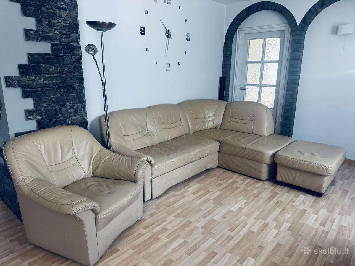 Odinis šviesiai rudas Magres kampas