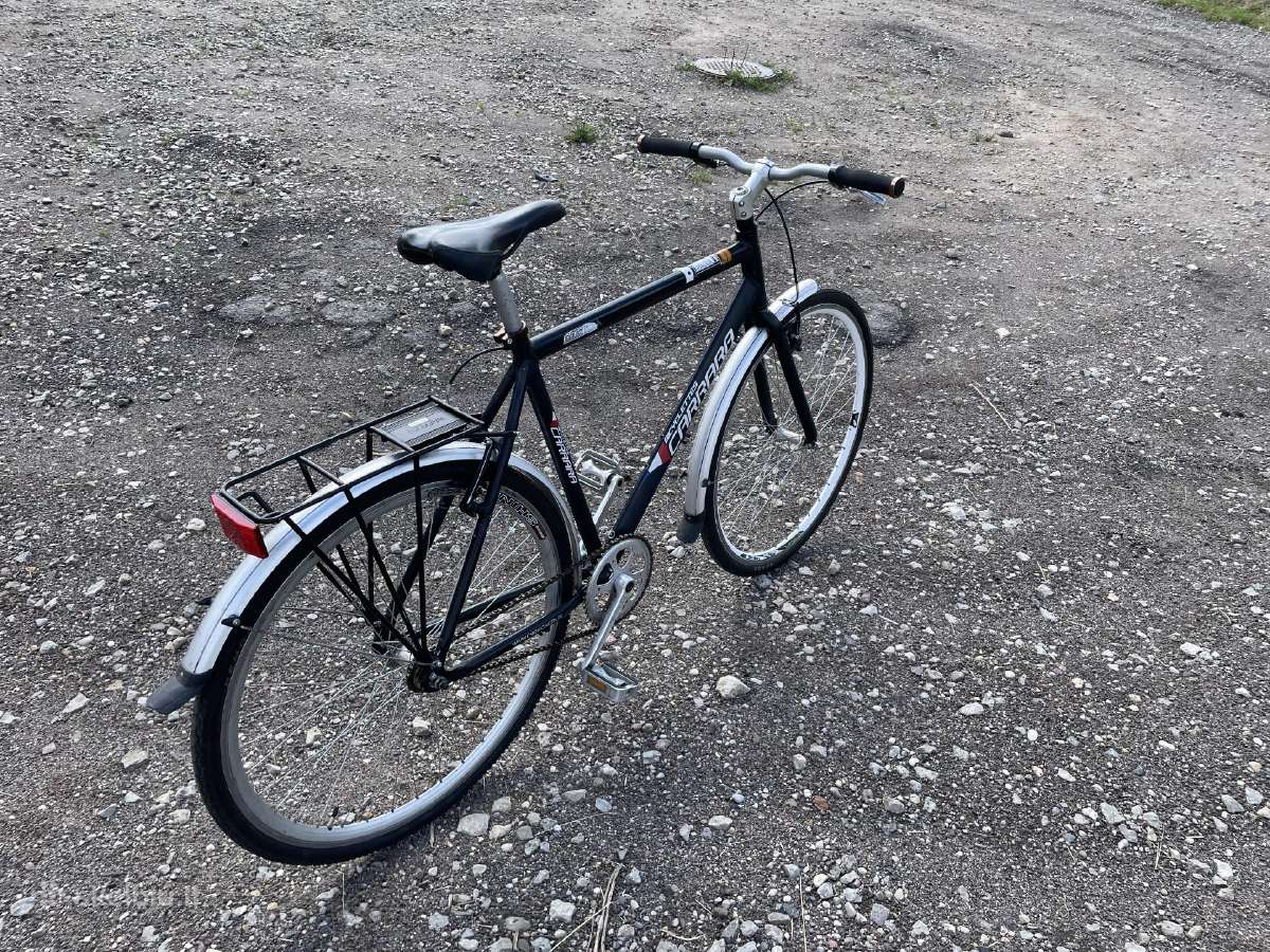 Single speed - nuotraukos Nr. 6