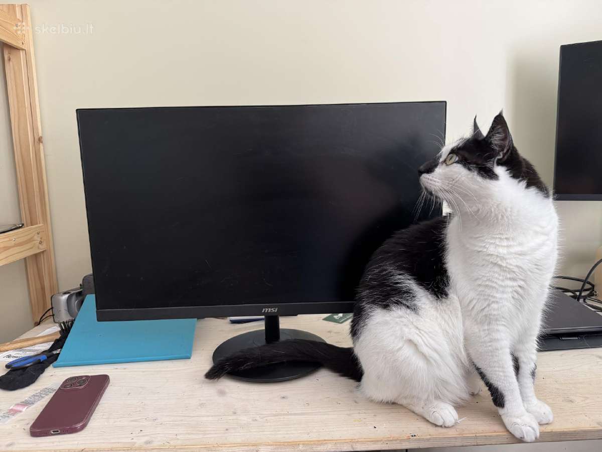 Msi pro mp271 27" monitorius