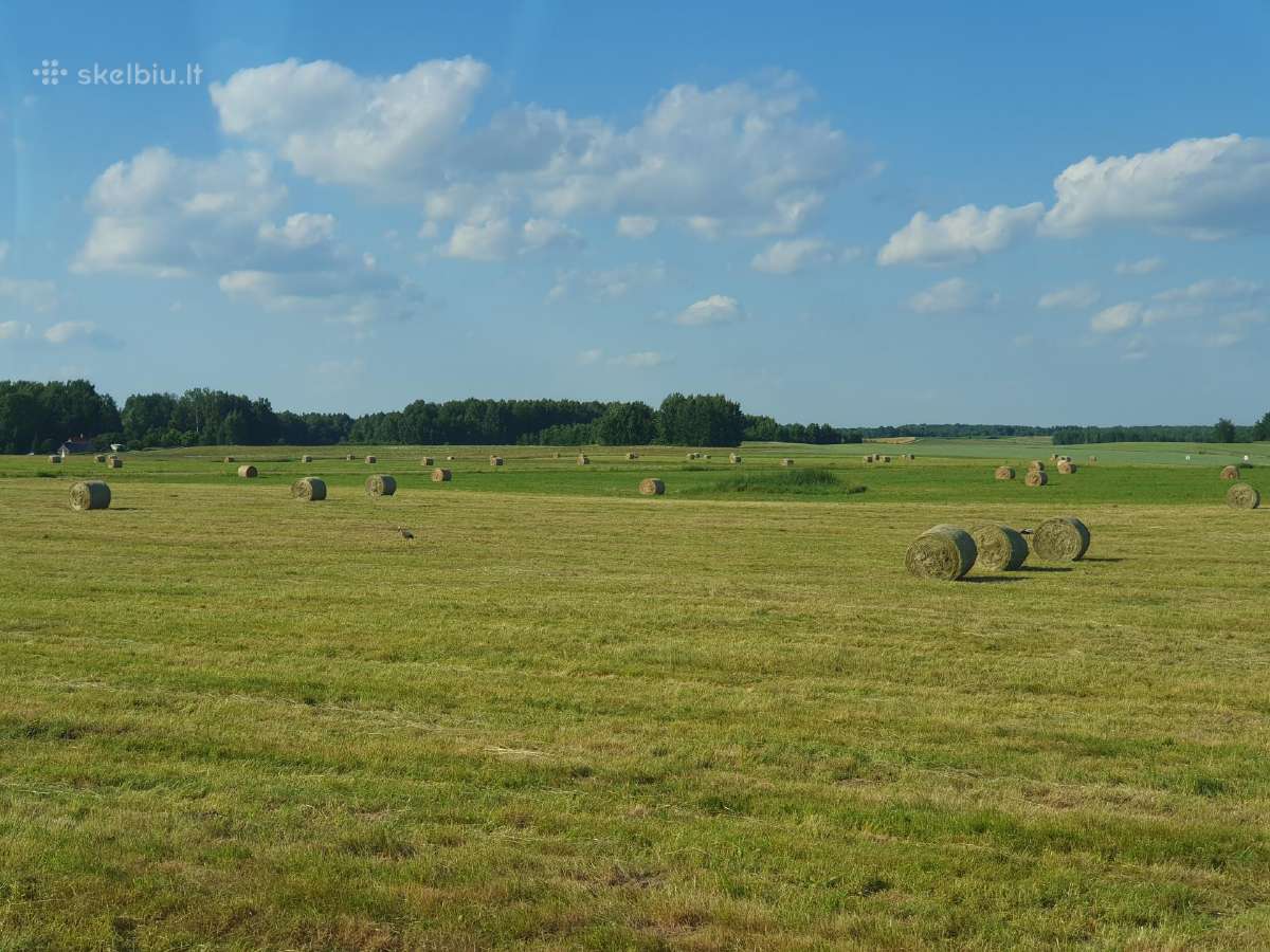 Šienas 2026 m.