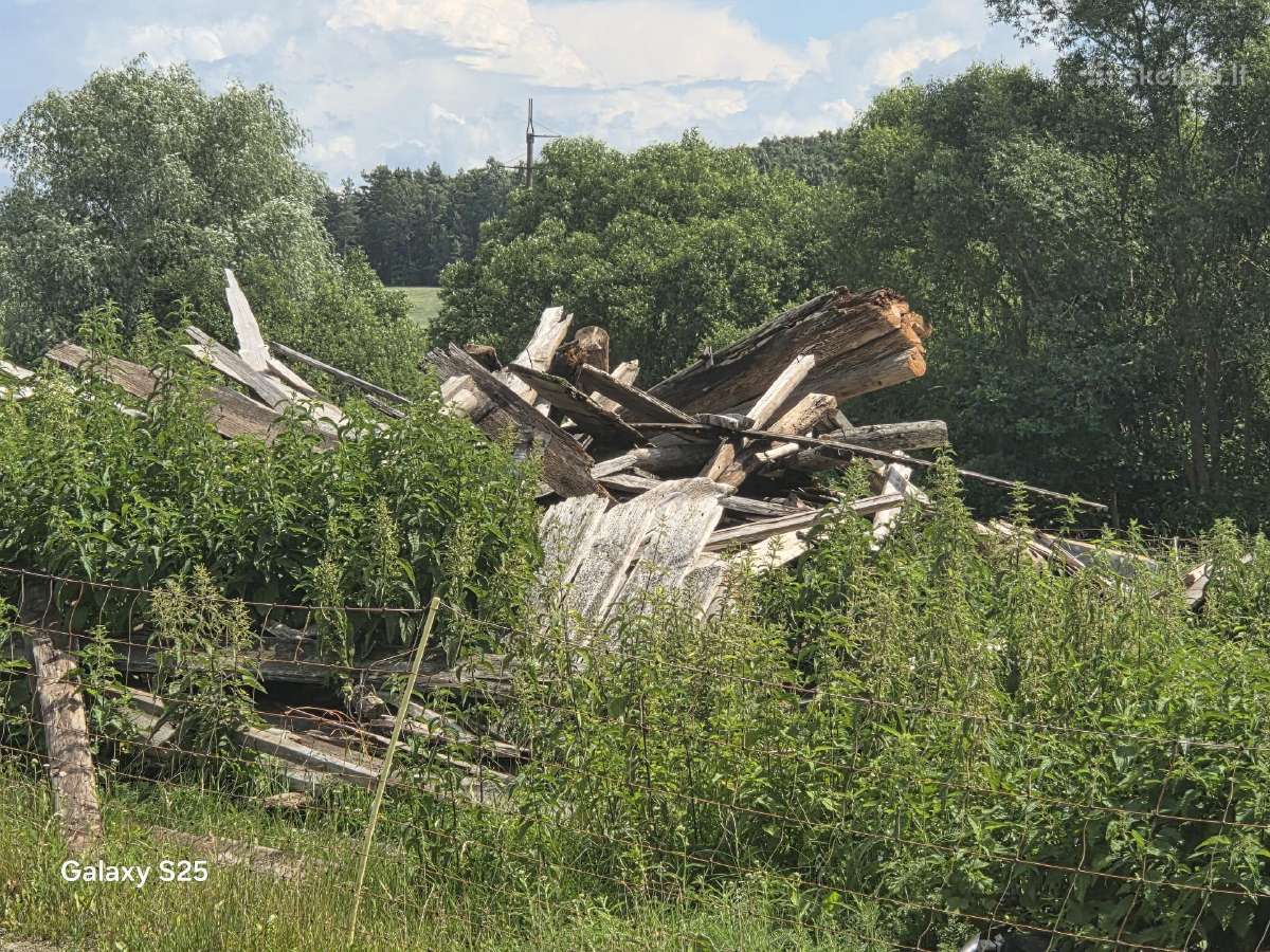 Ieškoma pagalbos