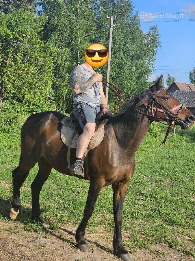 Zemaituke stanbintu