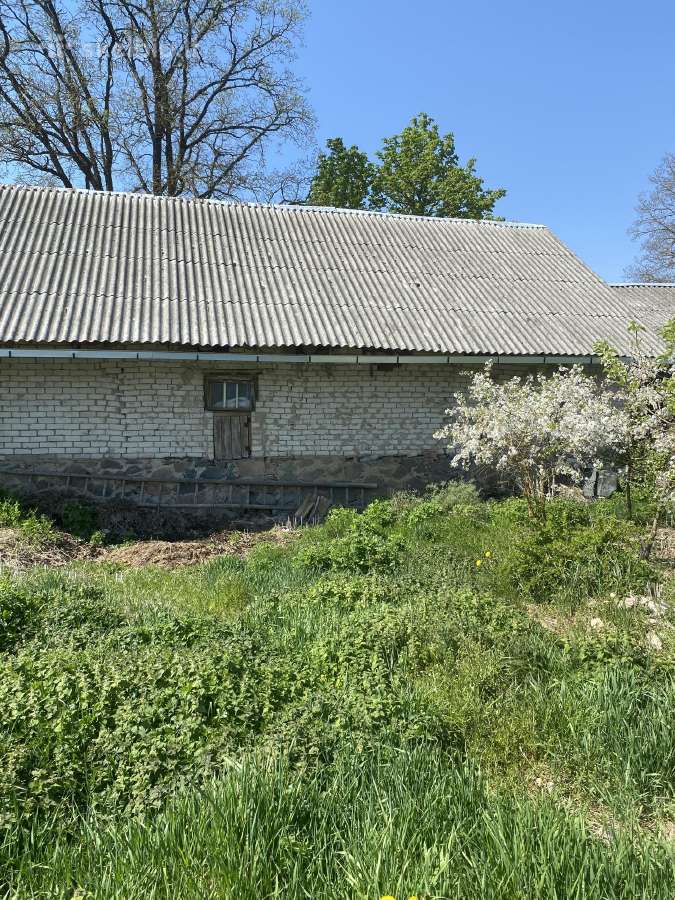 Parduodama sodyba su žeme Mažeikių r. - nuotraukos Nr. 4