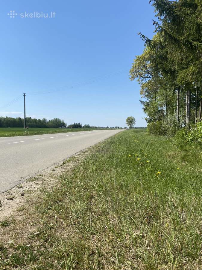 Parduodama sodyba su žeme Mažeikių r. - nuotraukos Nr. 17