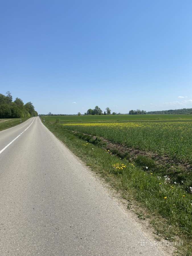 Parduodama sodyba su žeme Mažeikių r. - nuotraukos Nr. 18