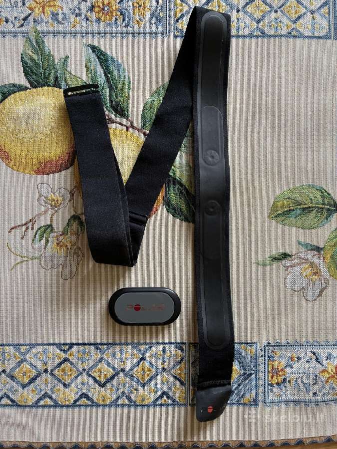 Polar H9