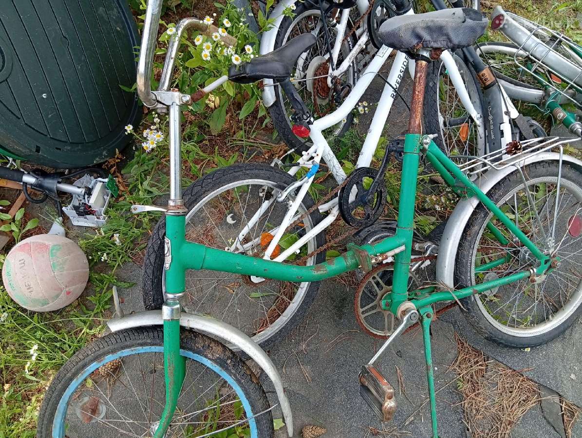 Dviracei ir sulangstomi po 10 eyru - nuotraukos Nr. 6