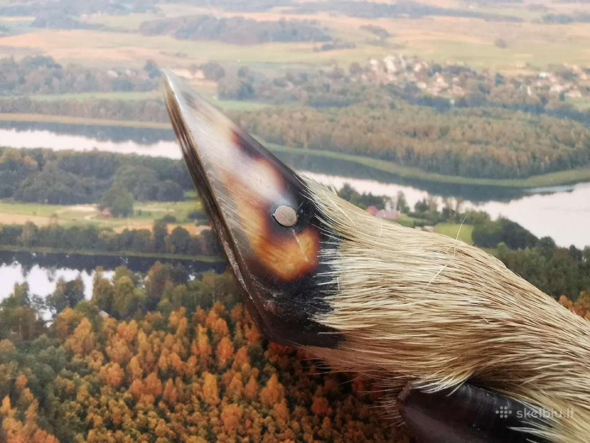 Vokiškas Jagdnicker peilis - nuotraukos Nr. 12
