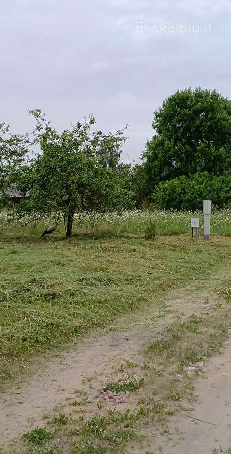 Mažeikiuose Kurmaičių Kaime,šarmos Sodas - nuotraukos Nr. 2