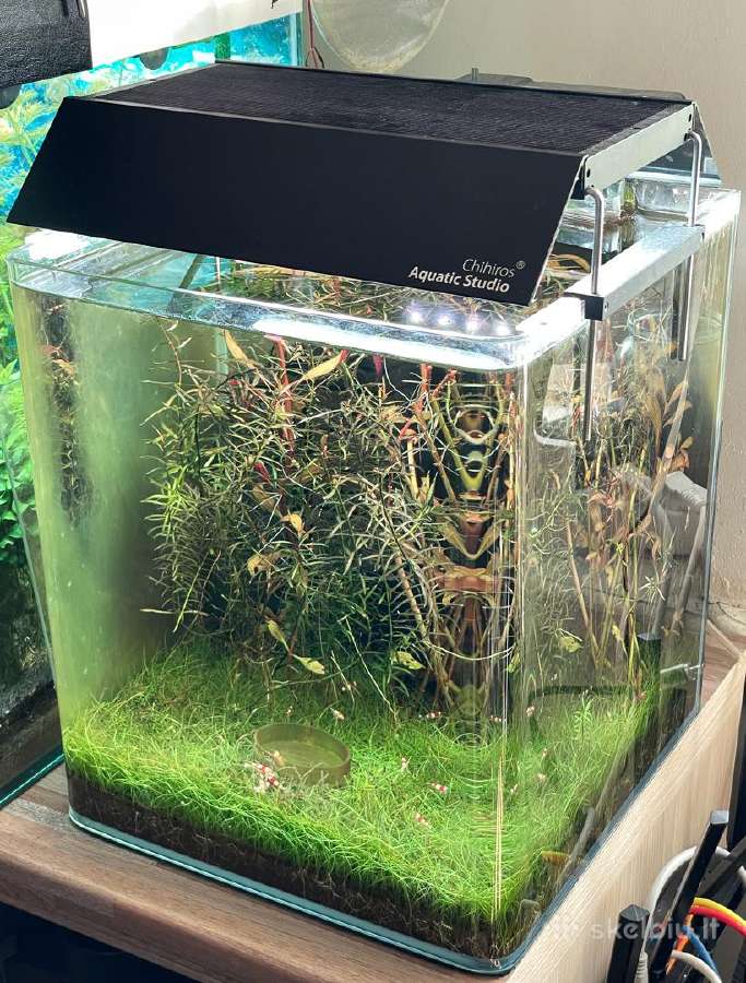 Akvariumas Dennerle 30l , Chihiros Wrgb30 II