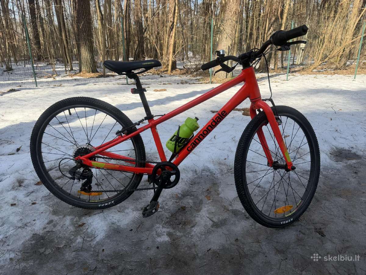 Cannondale Kids Quick 24