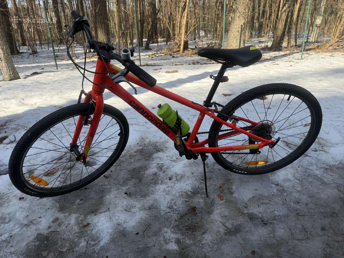 Cannondale Kids Quick 24 - nuotraukos Nr. 3