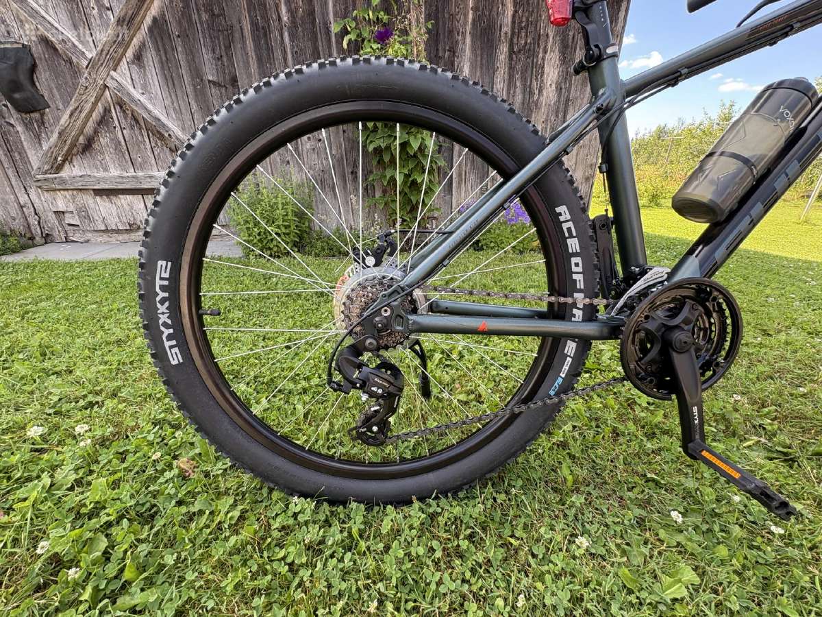 Bulls Wildtail 1 MTB Dviratis