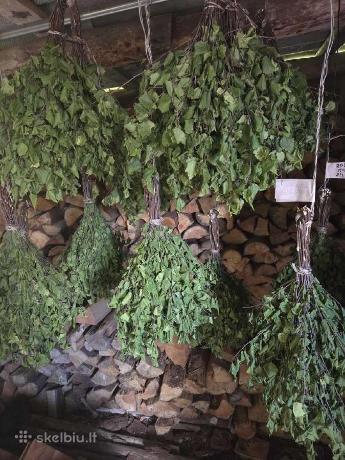 Šviežios beržinės vantos - nuotraukos Nr. 4
