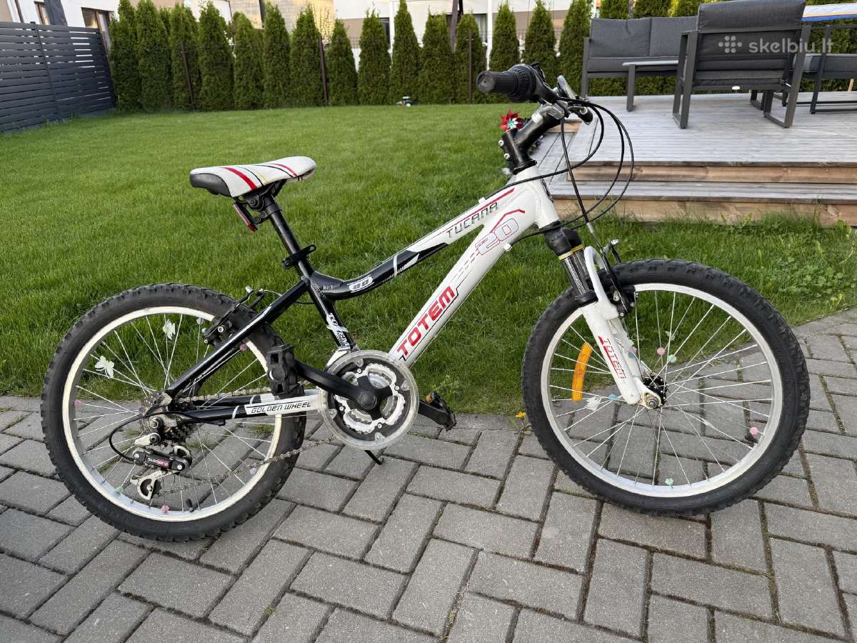 Vaikiskas dviratis 20