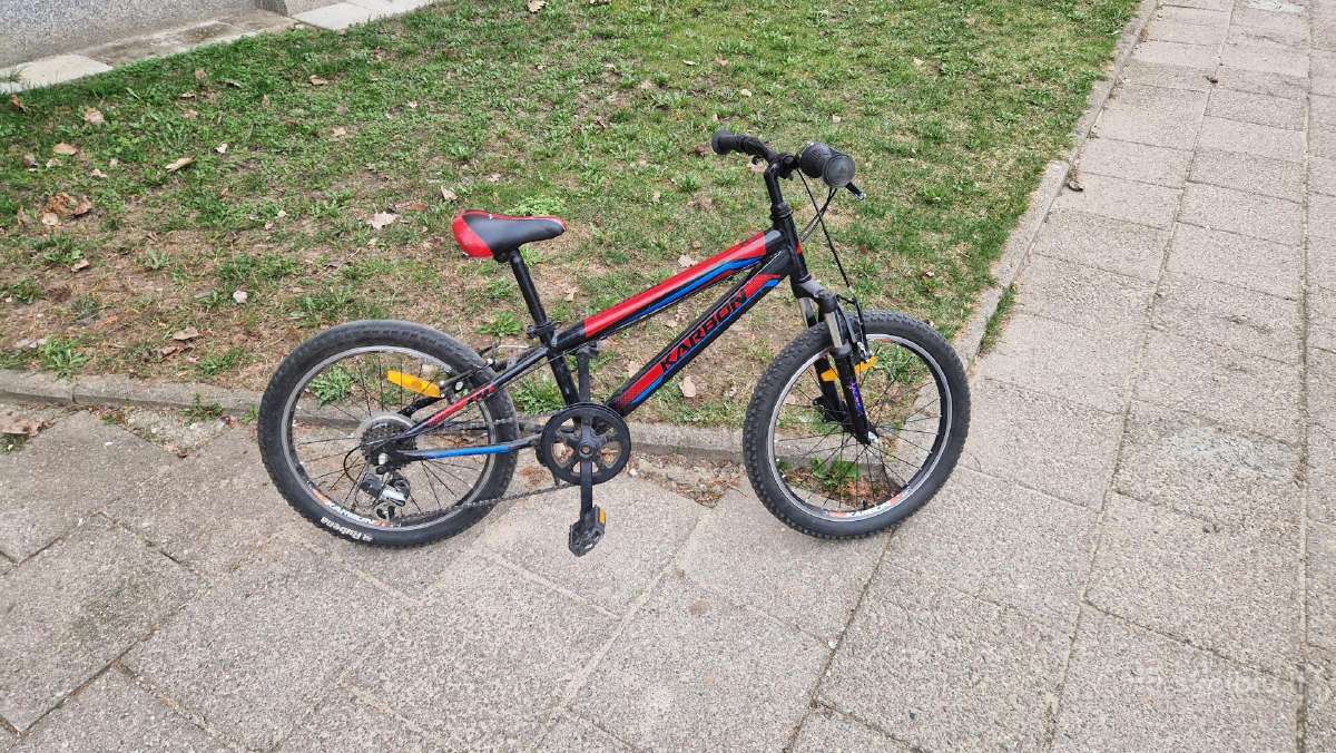Vaikiškas dviratis Karbon Adventure 20 colių