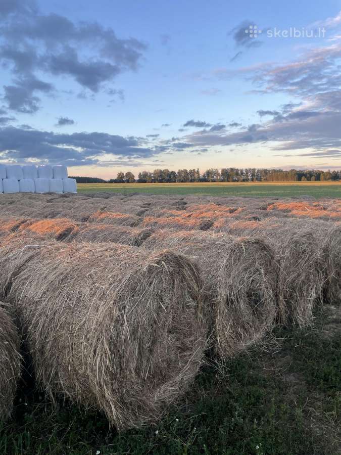 Parduodu plugus ir šiena.
