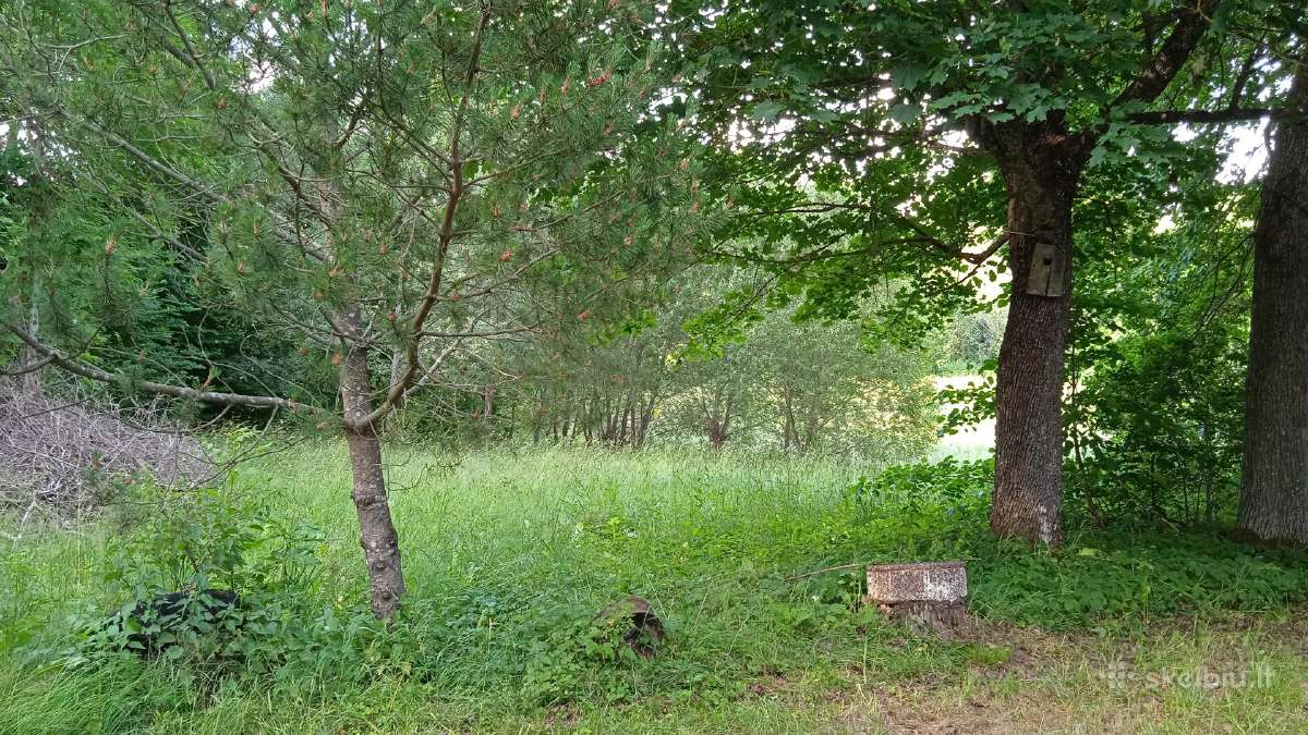 Sklypas, sodyba - nuotraukos Nr. 10
