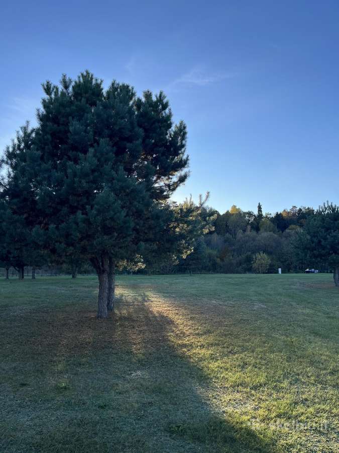Parduodamas Išskirtinis 60 Arų Sklypas Prie Neries - nuotraukos Nr. 8